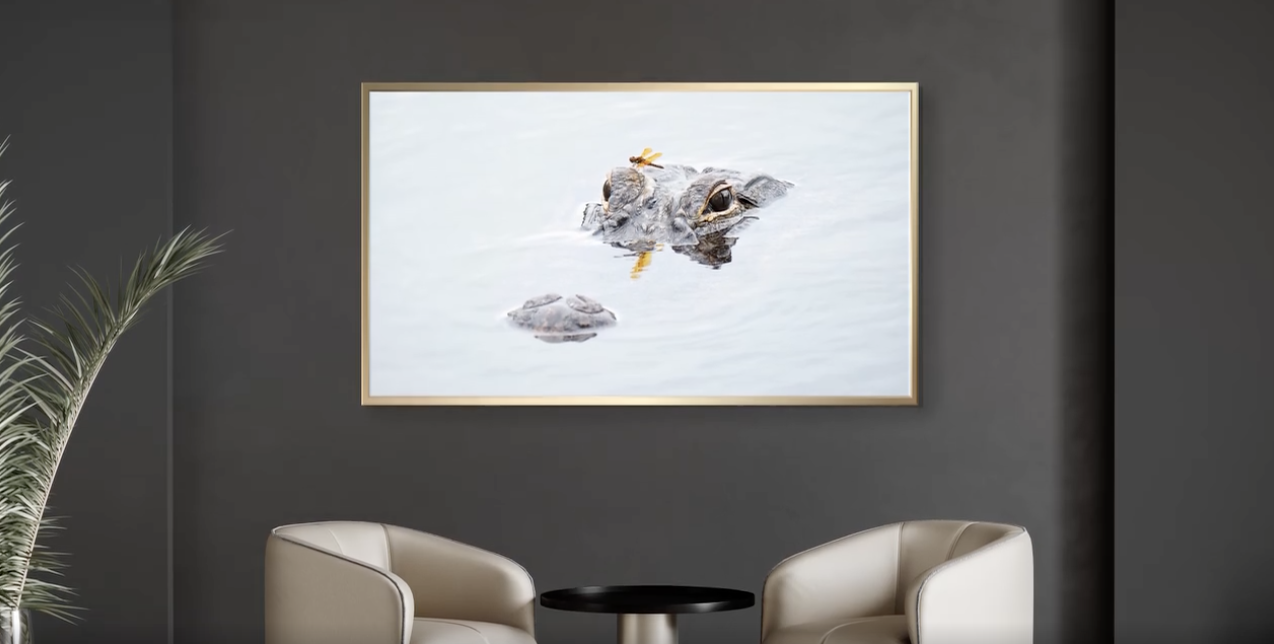 Bosley Images's image