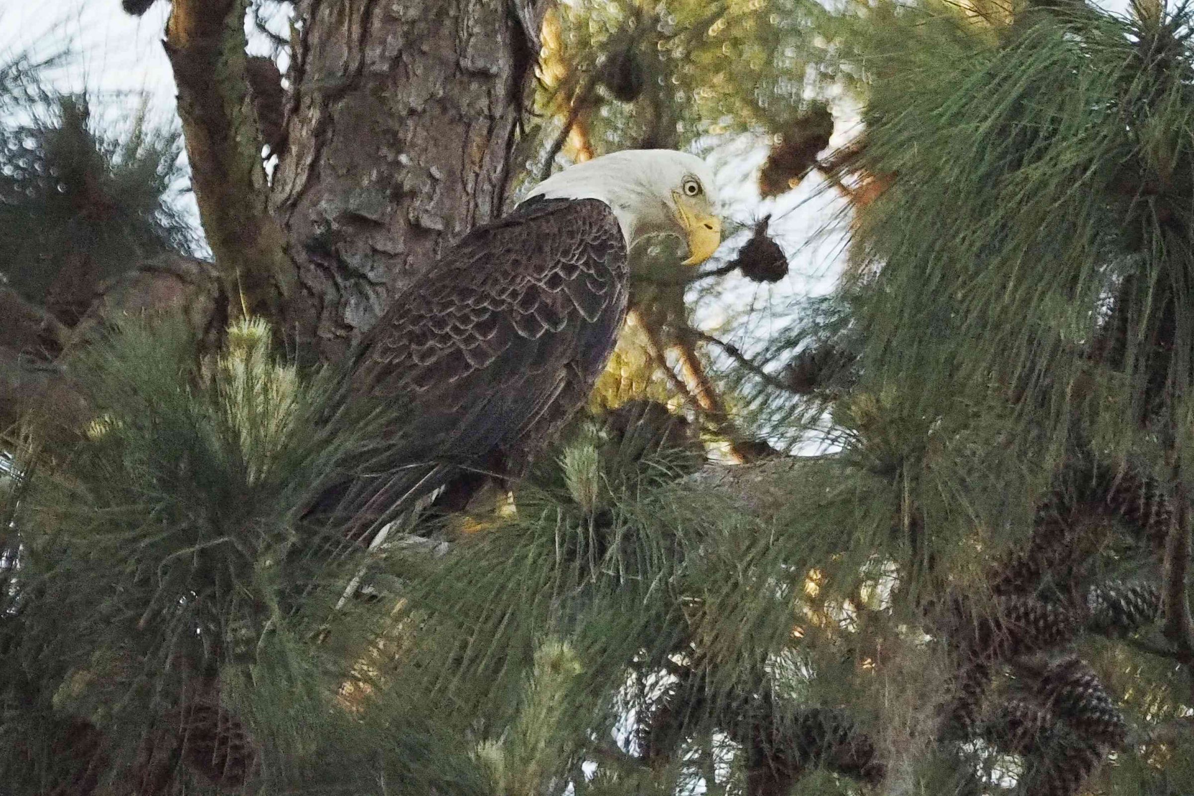 Bosley Images's image