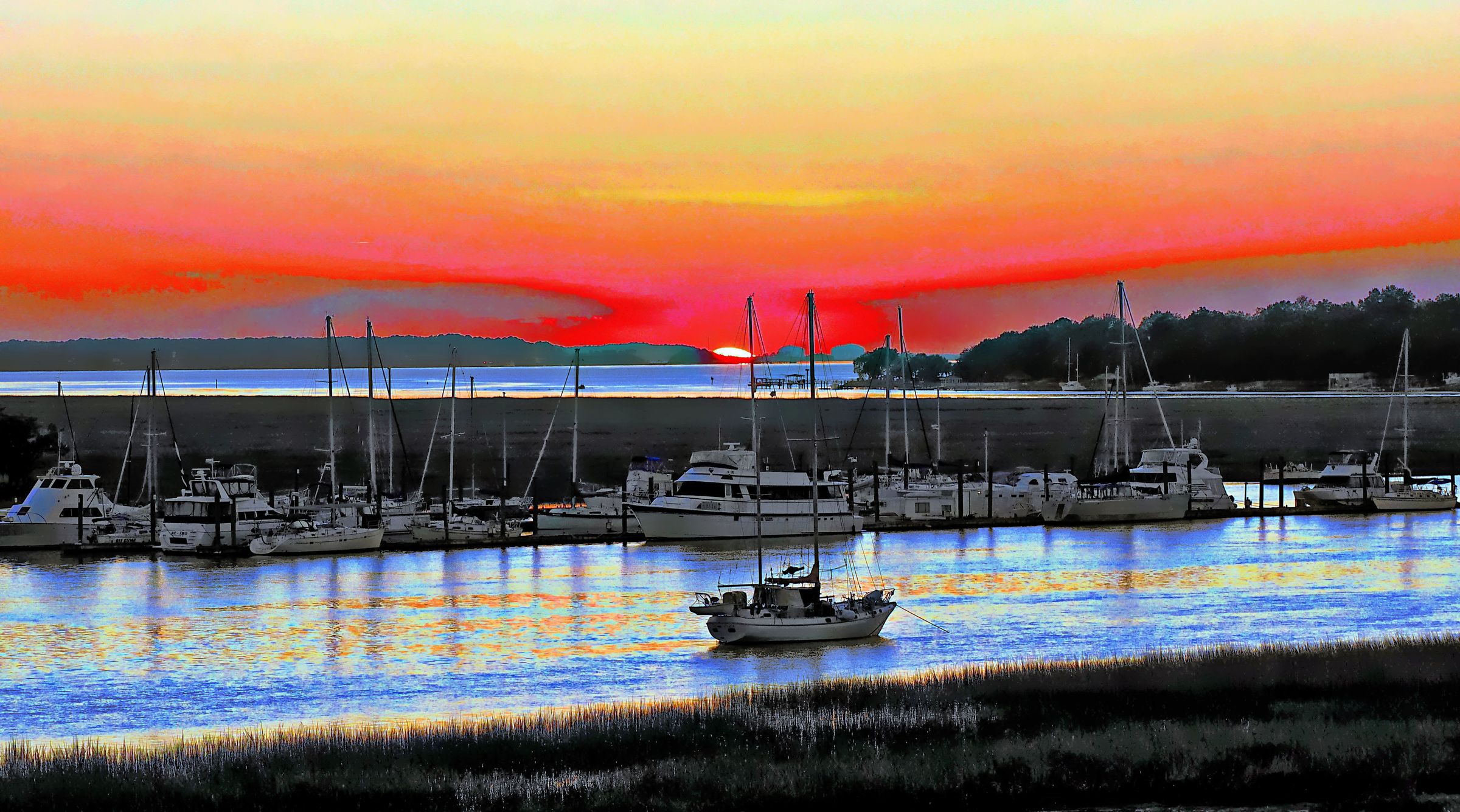 Bosley Images's image