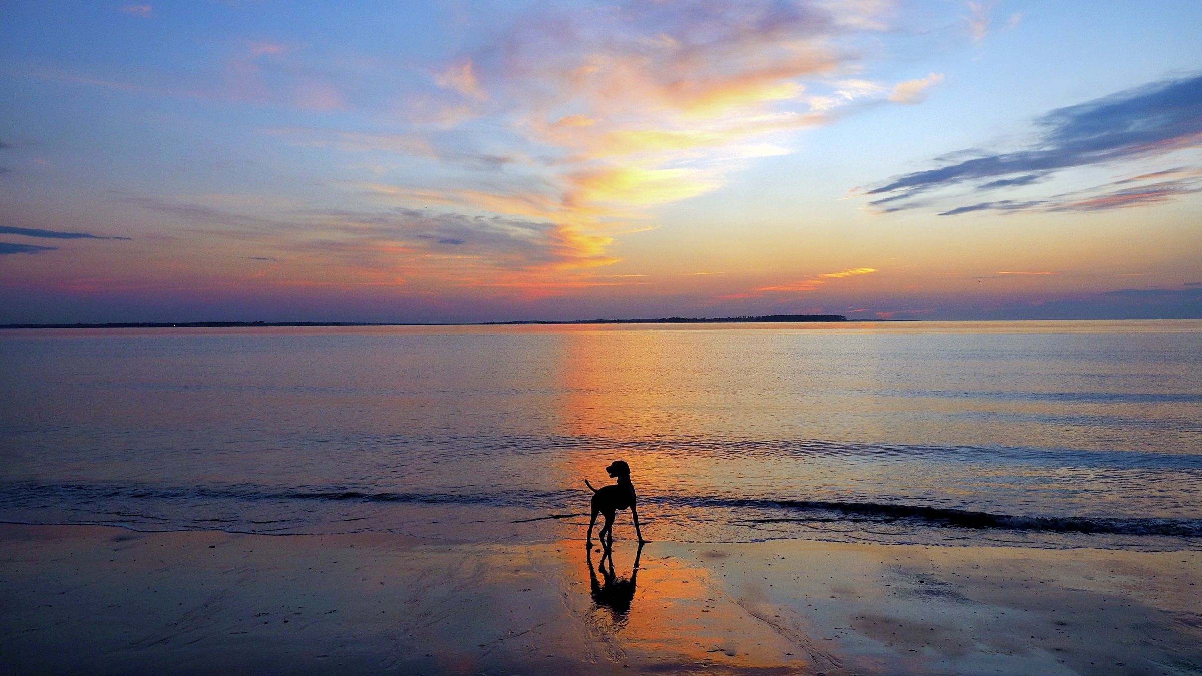 Bosley Images's image