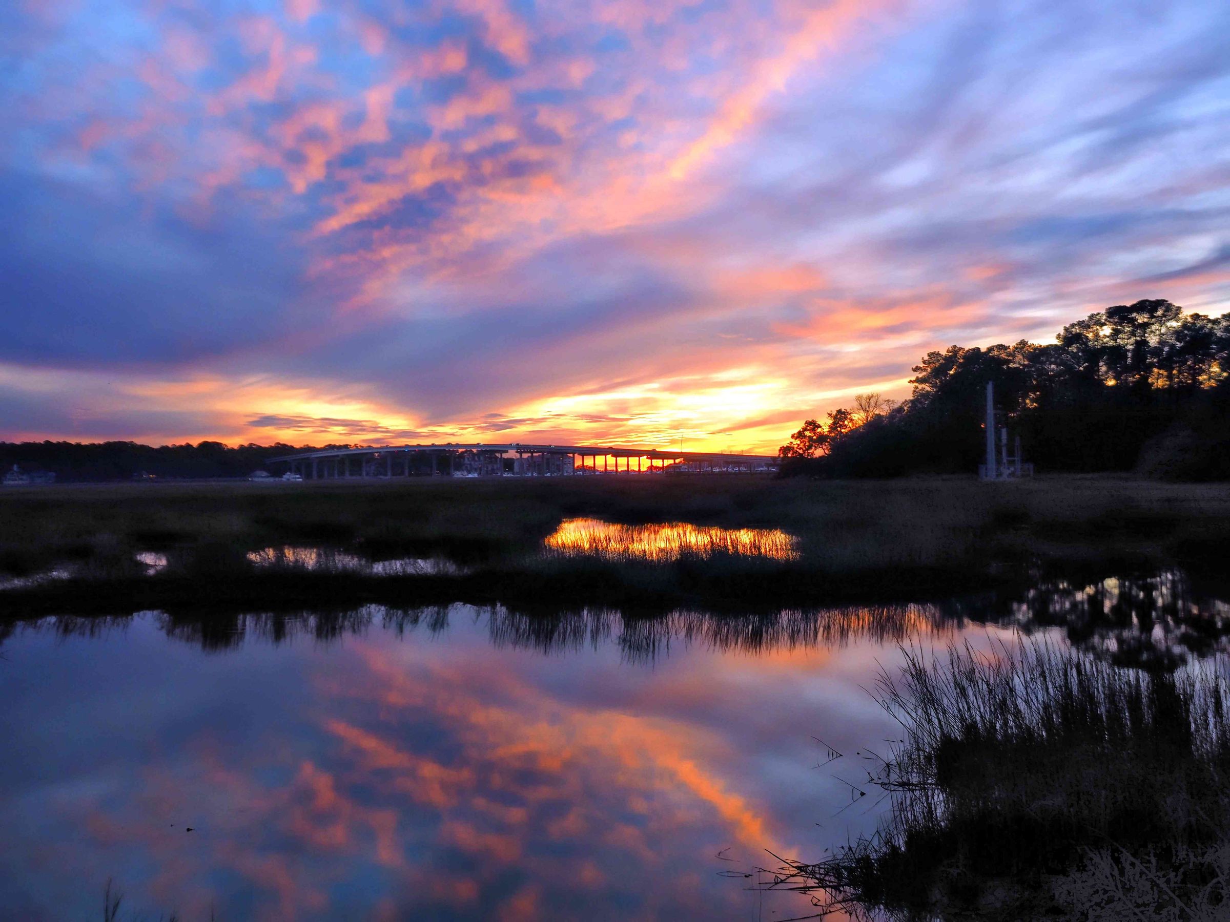 Bosley Images's image