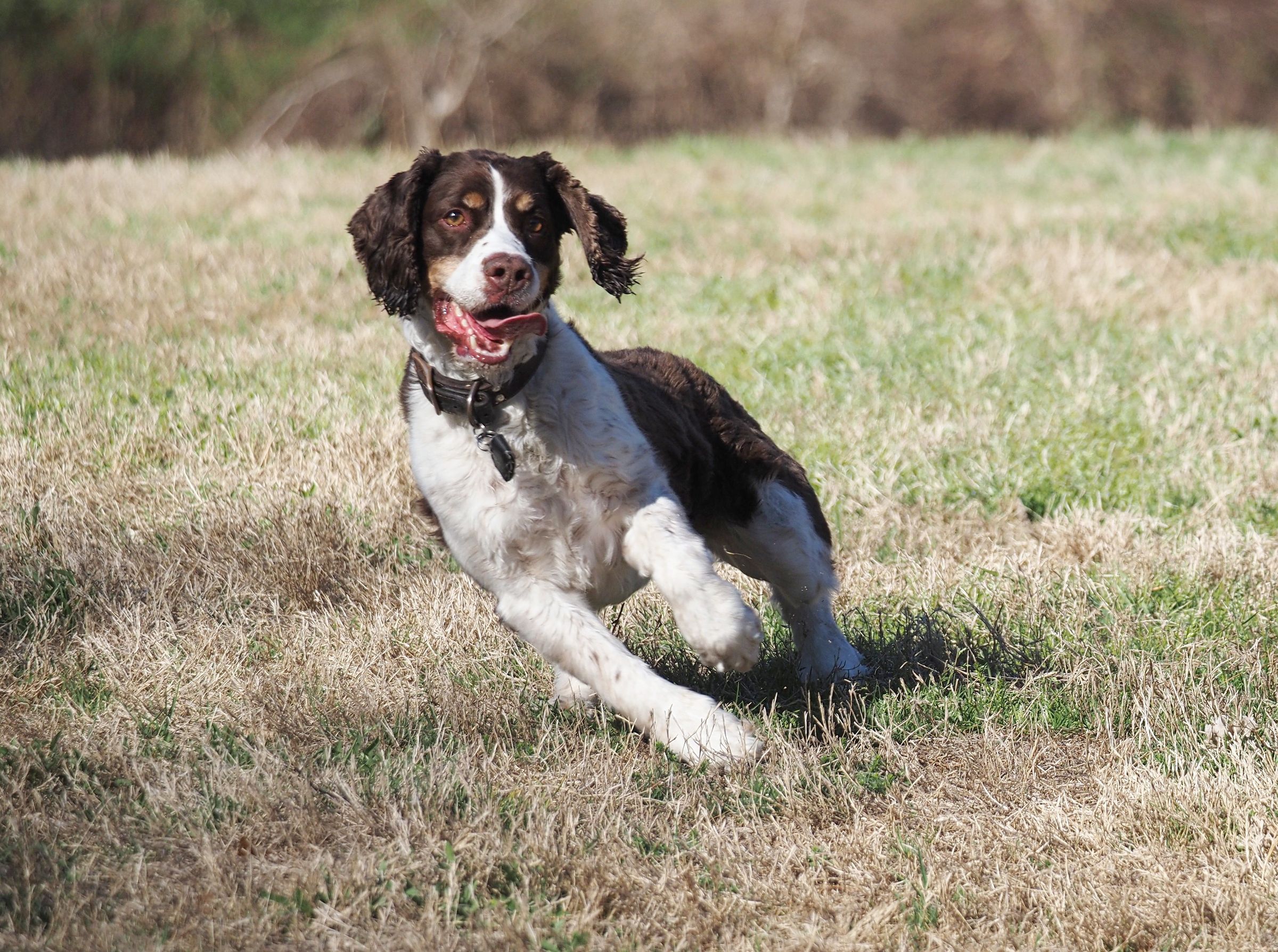 Bosley Images's image