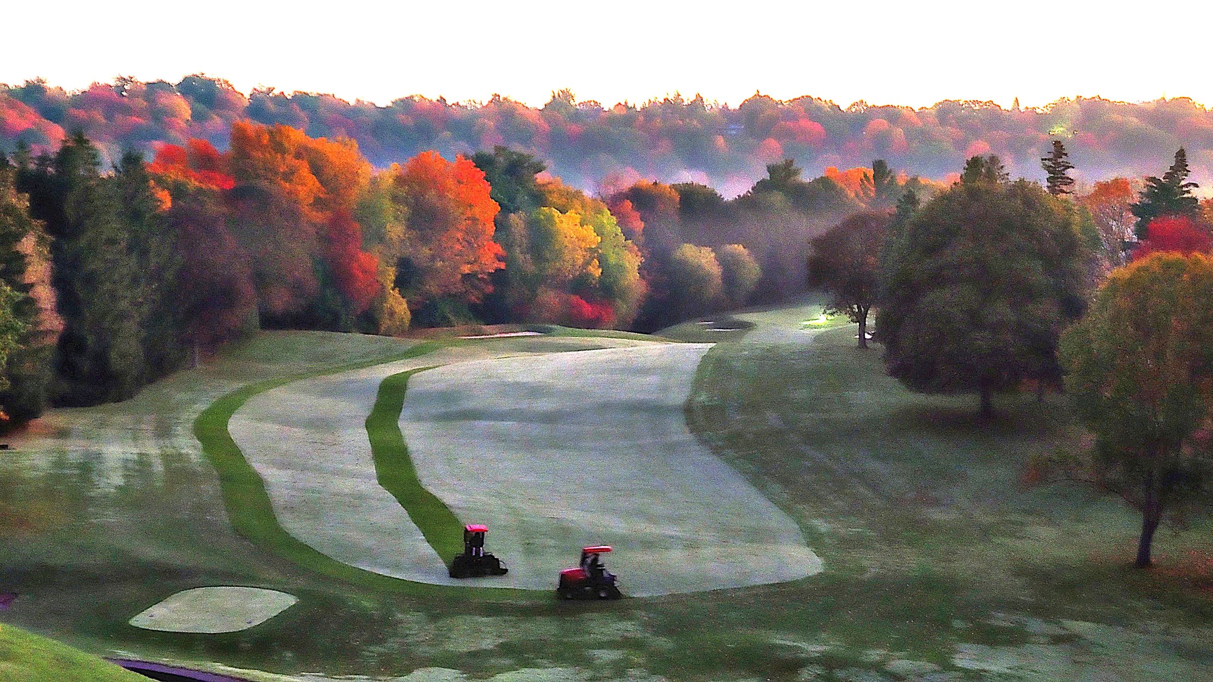 Bosley Images's image