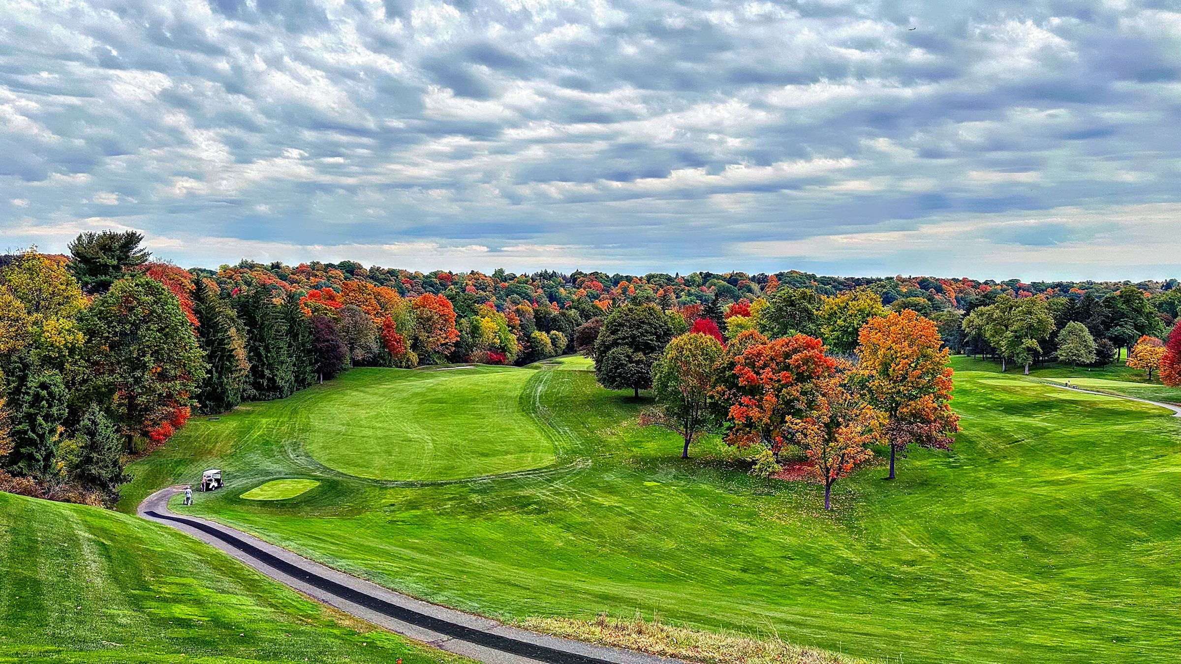 Bosley Images's image