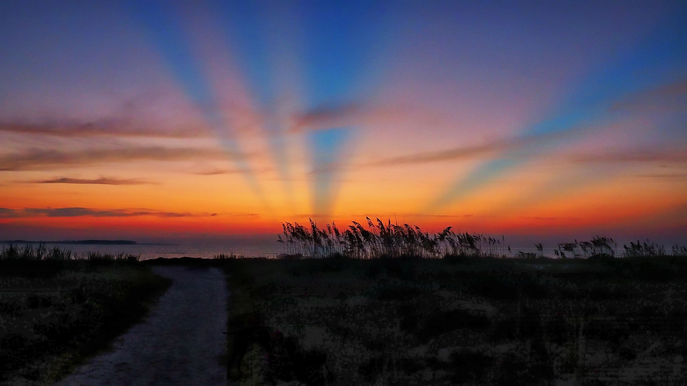 Bosley Images's image
