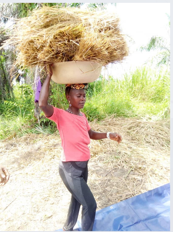 masimbo agriculture program's image