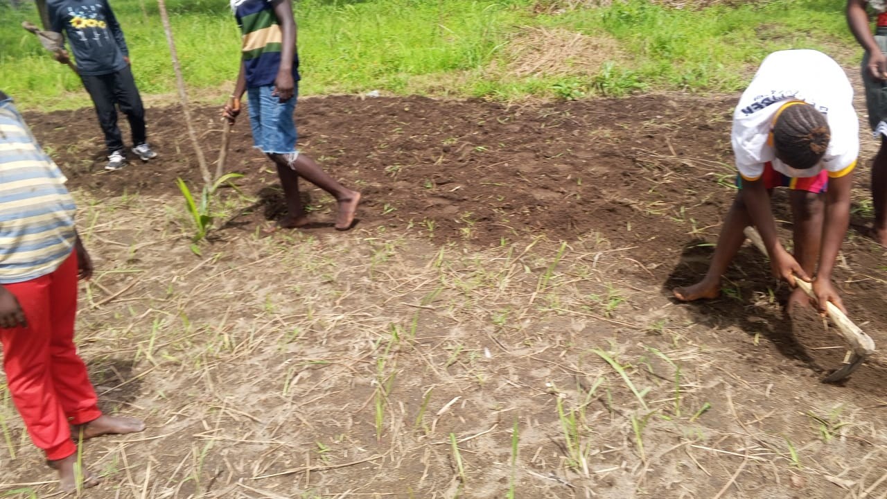 masimbo agriculture program's image
