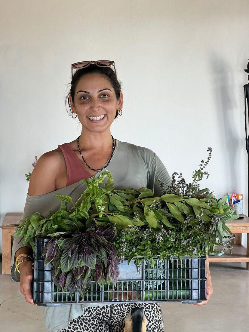 Surya Retreats's image