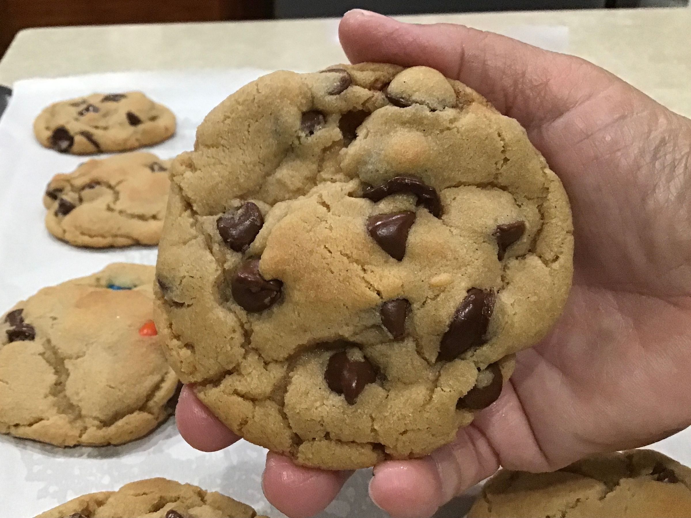 Chocolate Chip Cookie