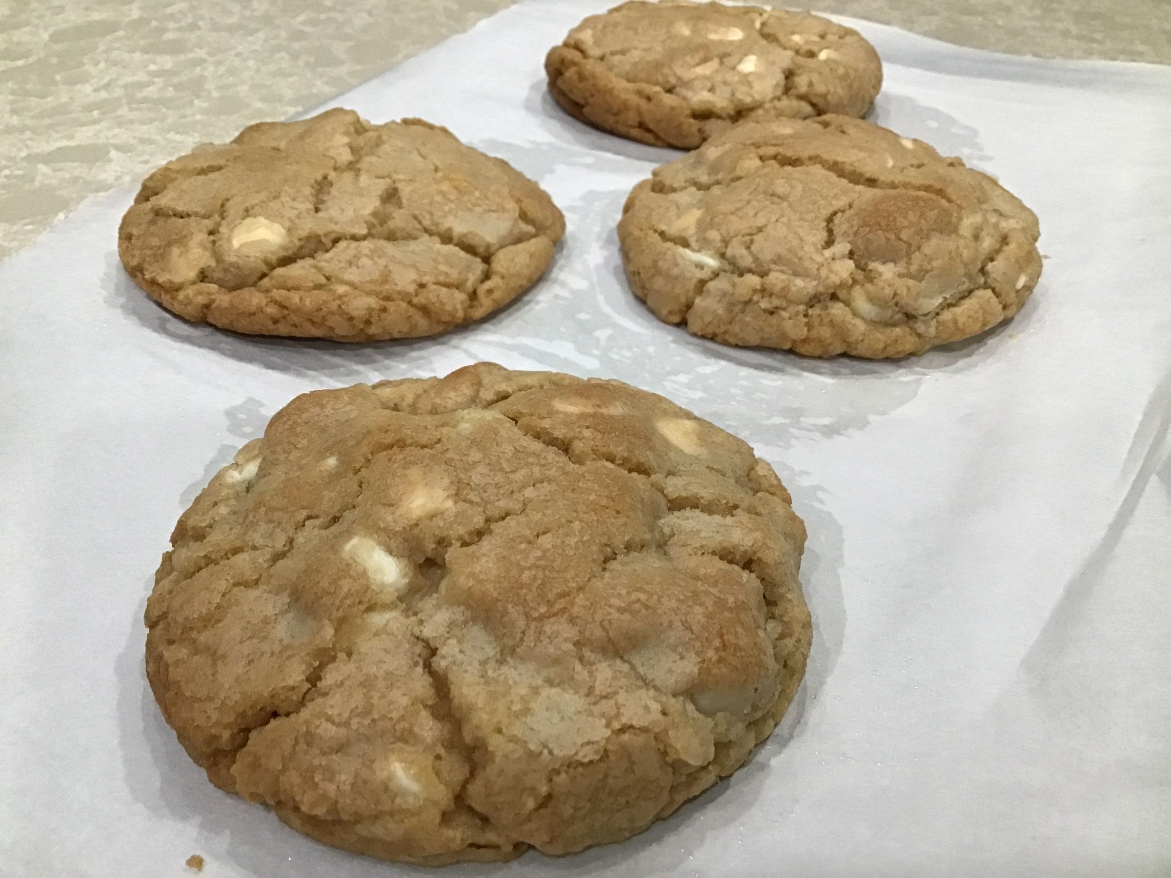 Macadamia Nut White Chocolate Chip Cookie 