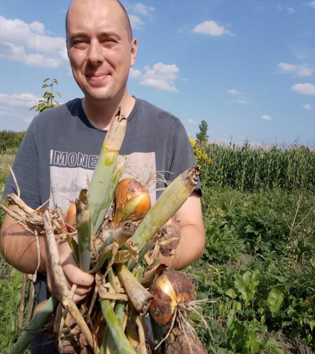 TOP OF DOMAINS's image