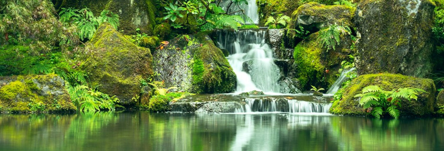 Nature Rhythm's image