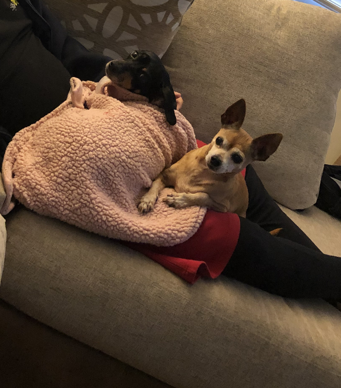 Cuijo getting snuggled 