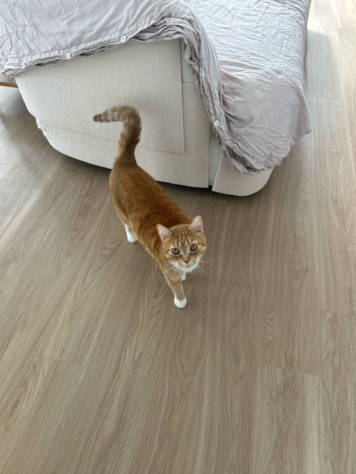 See you later Garfield 