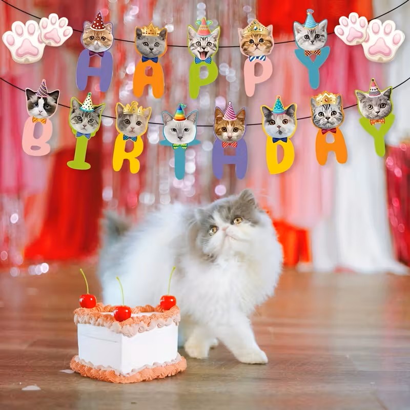 Ms. Dolittle 's image