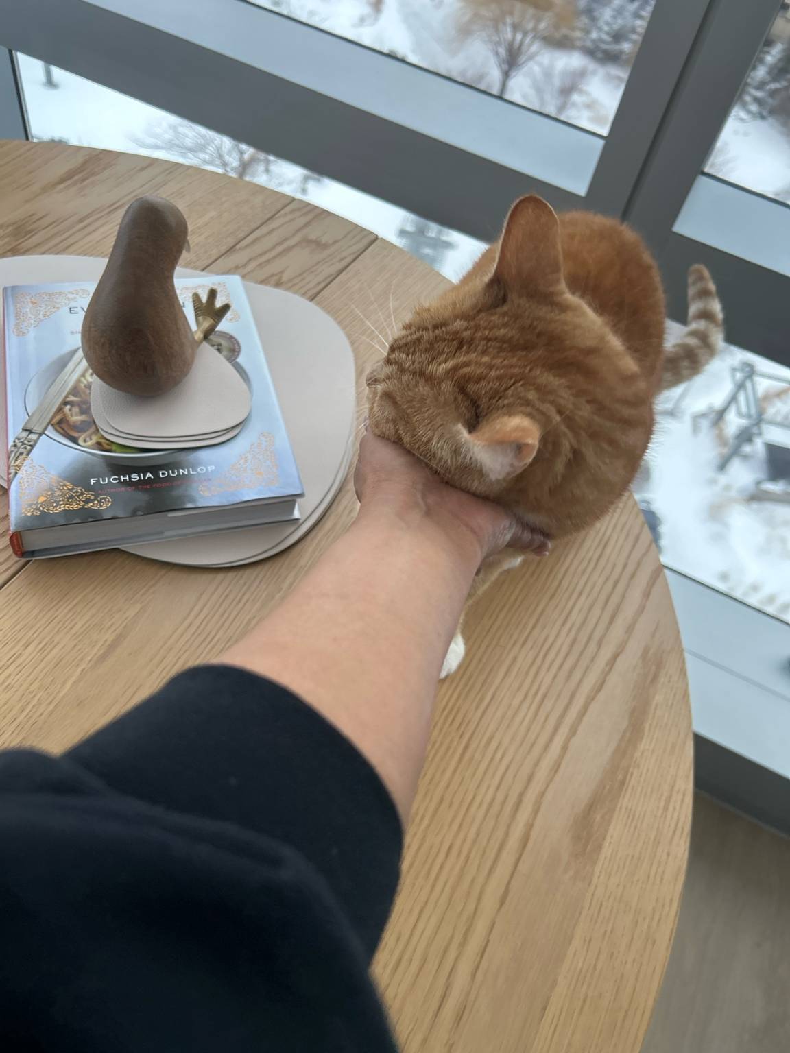 Cuddles for Garfield 