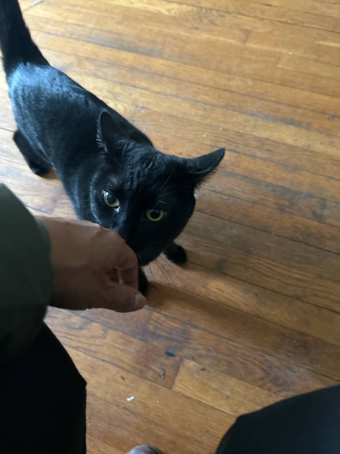 Jynx showing me some love 