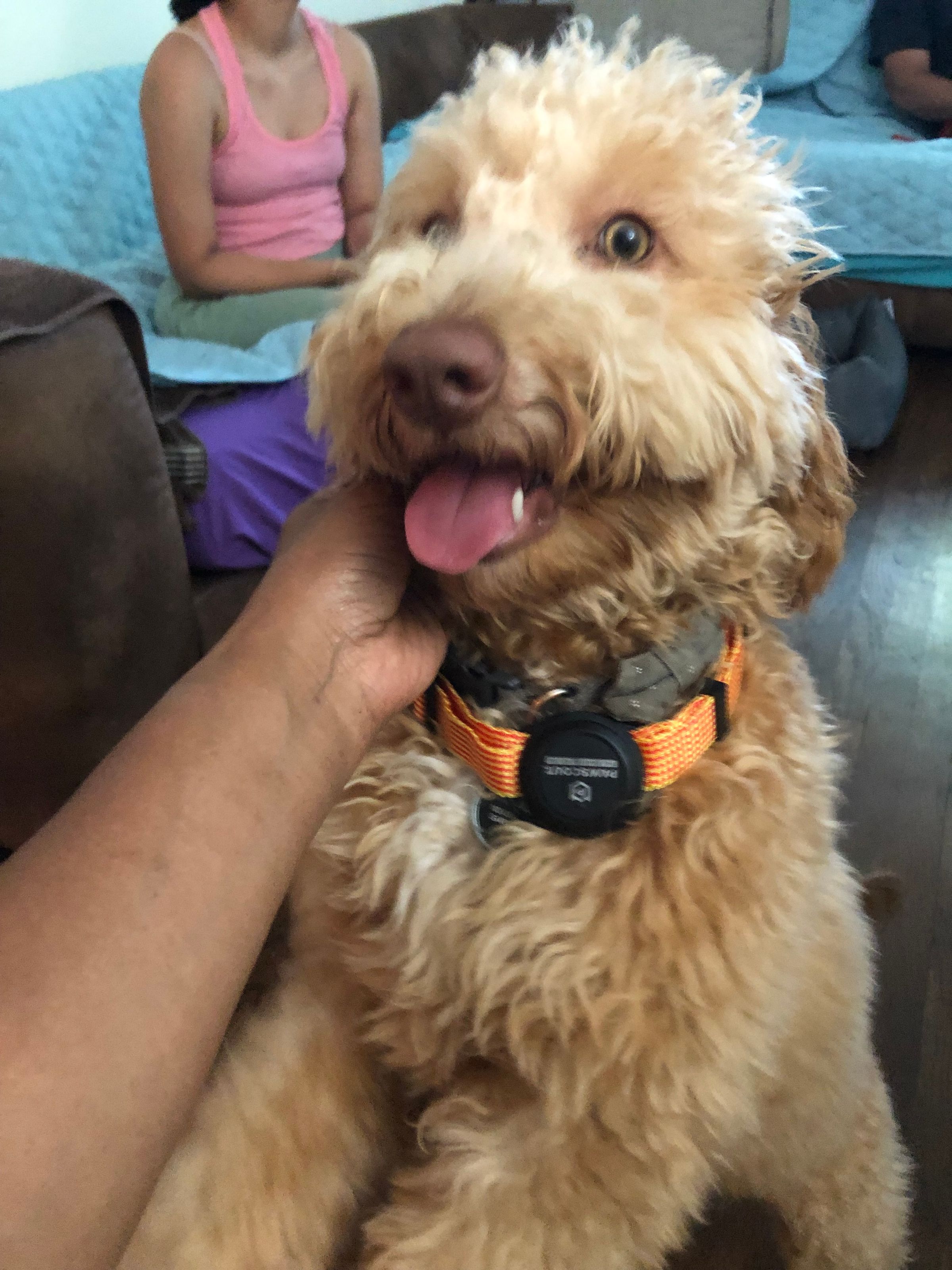 Hello from Kodi!