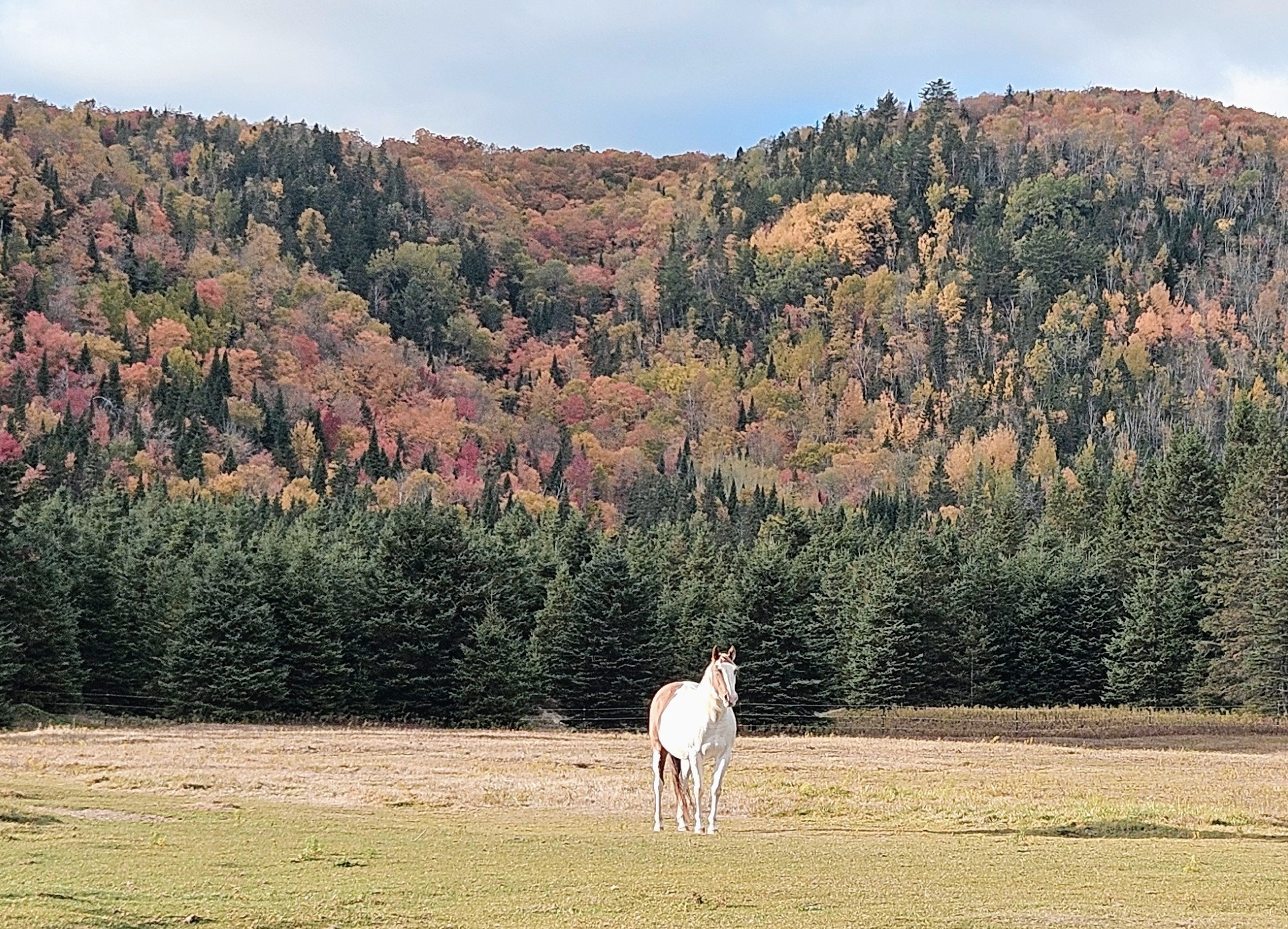 North Road Retreat's image