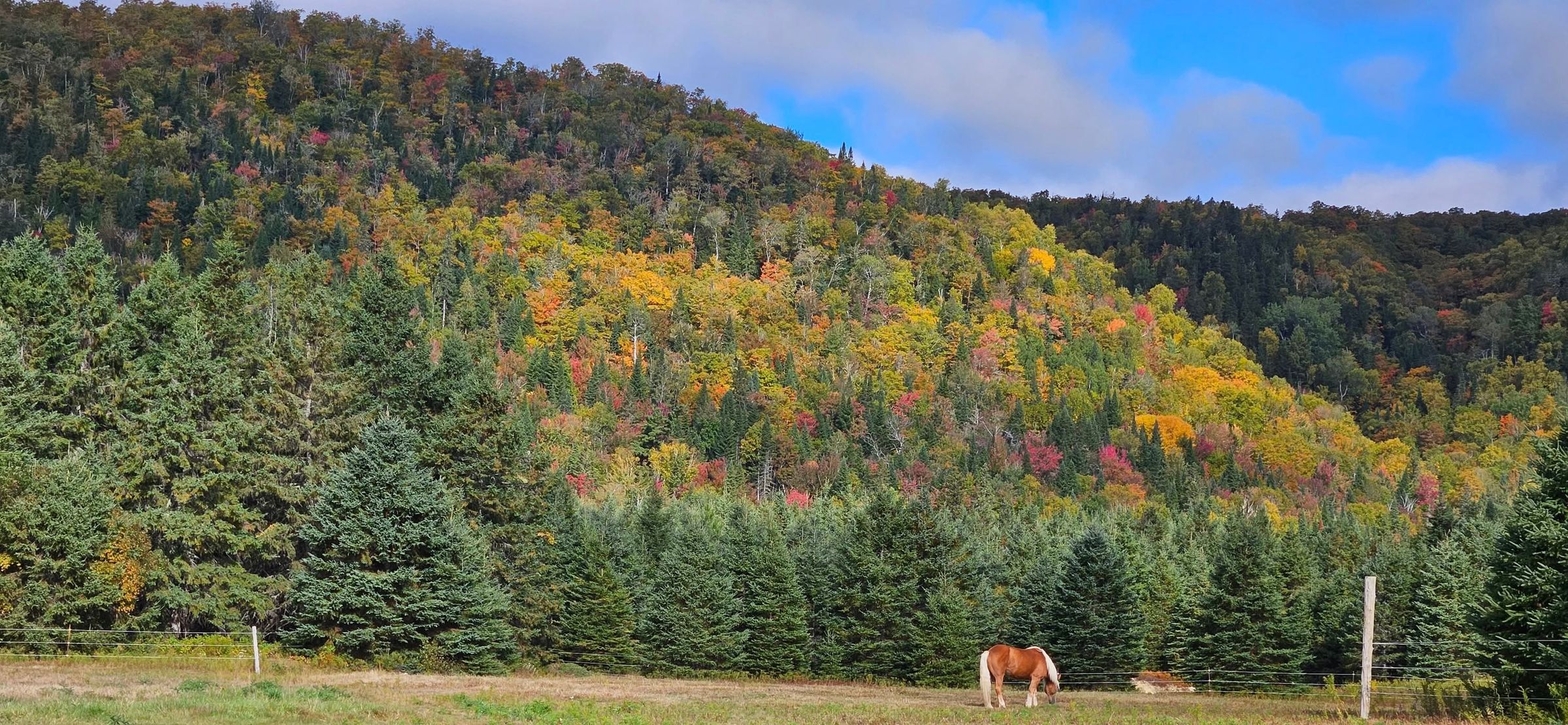 North Road Retreat's image