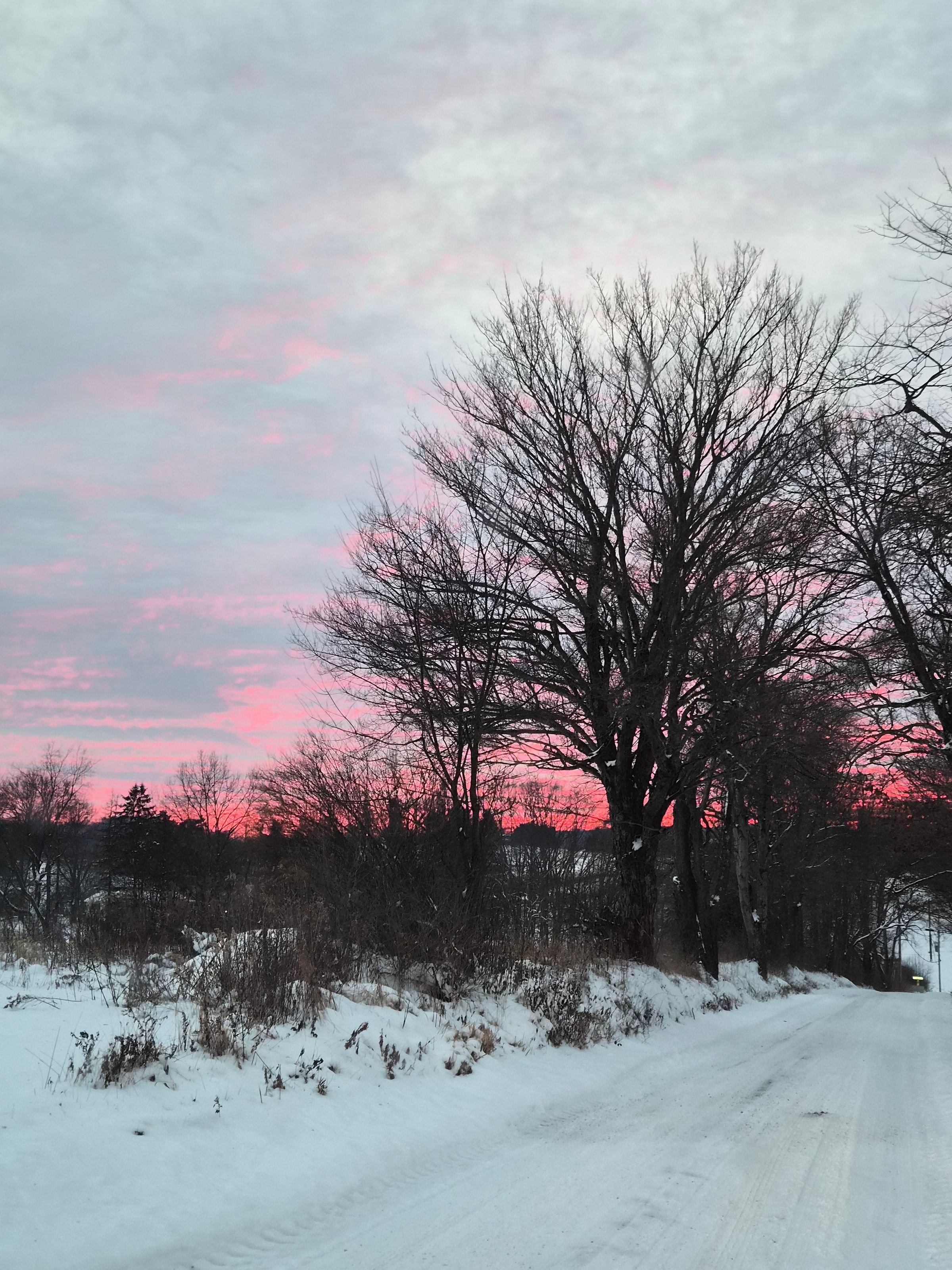 Jack Wolfe Music's image