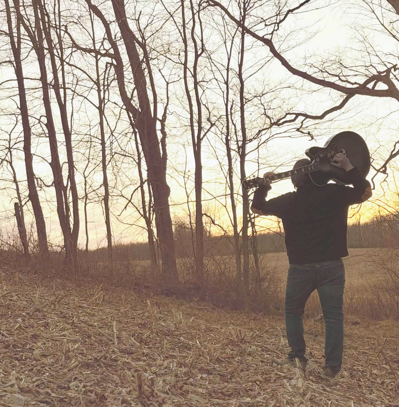 Jack Wolfe Music's image