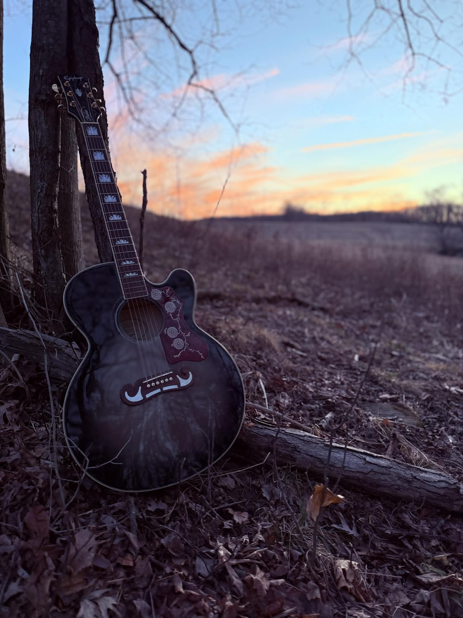 Jack Wolfe Music's image