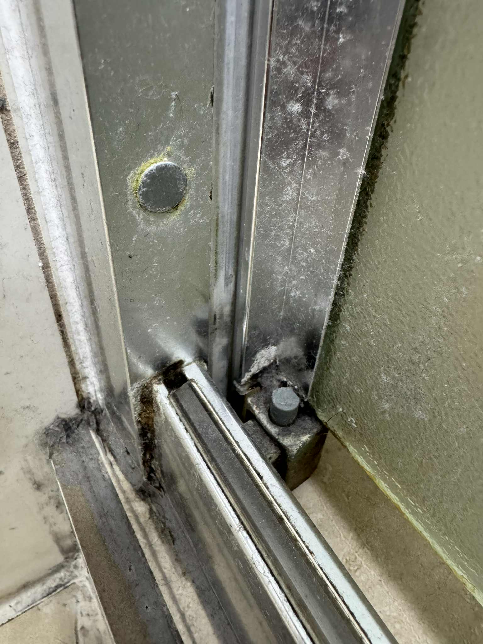 Clean Buddies's image