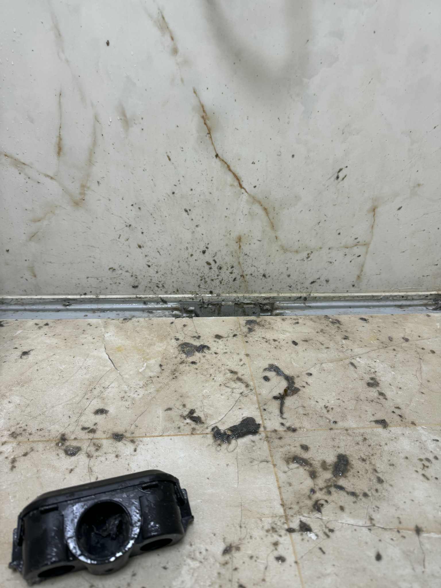 Clean Buddies's image