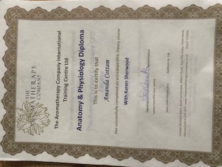 The Therapy Hut's image