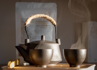 The Therapy Hut's image