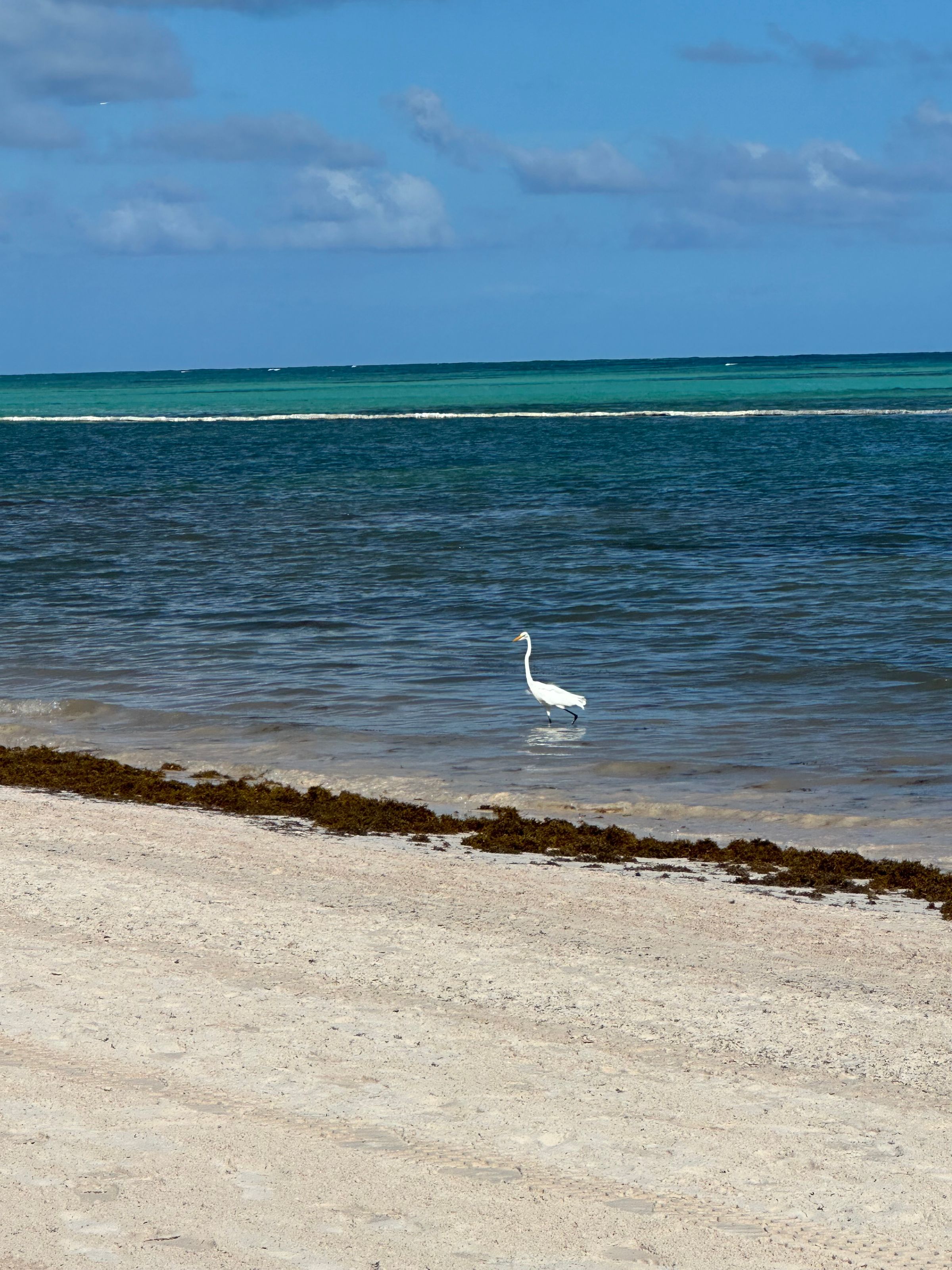 Travel with K&C's image