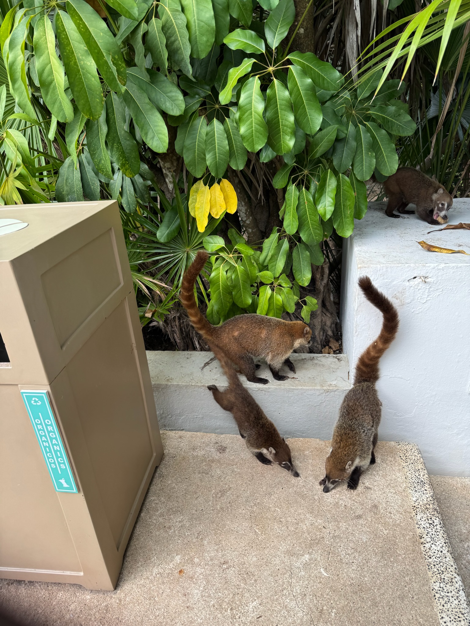 Travel with K&C's image