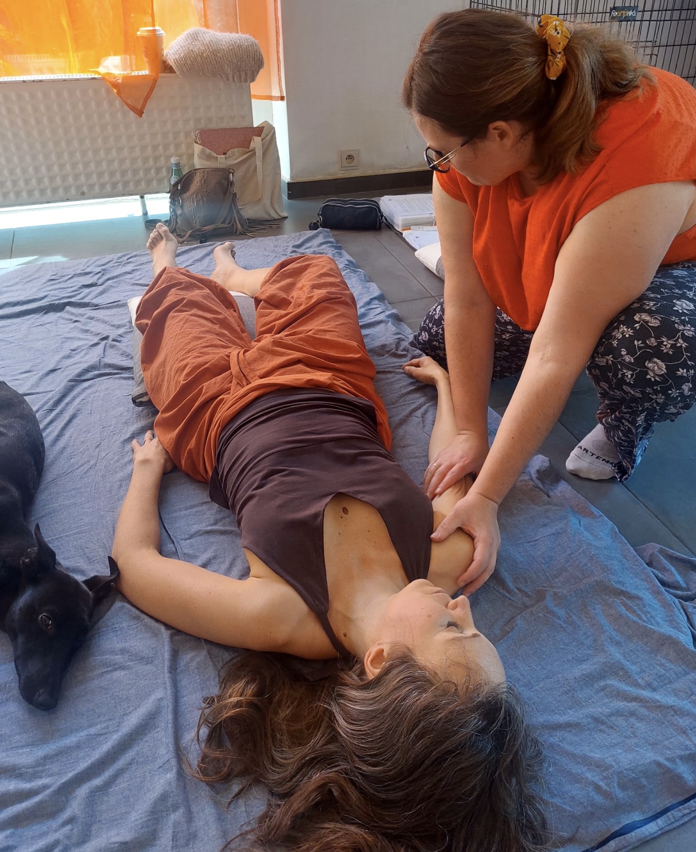 Eiyō-Ki : Nutrition, shiatsu humain & animal, massages's image