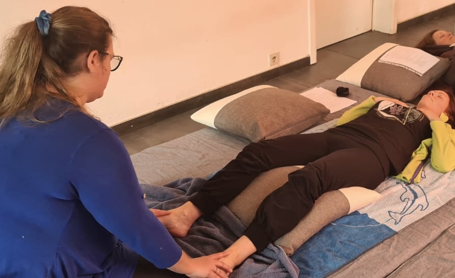 Eiyō-Ki : Nutrition, shiatsu humain & animal, massages's image