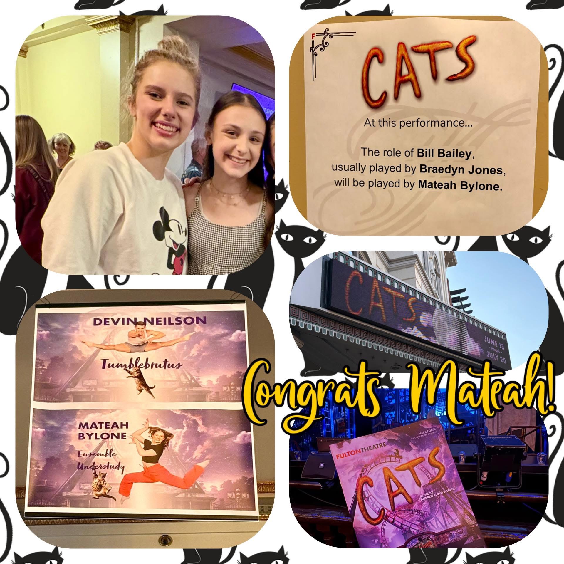 Hutchins House of Music's image