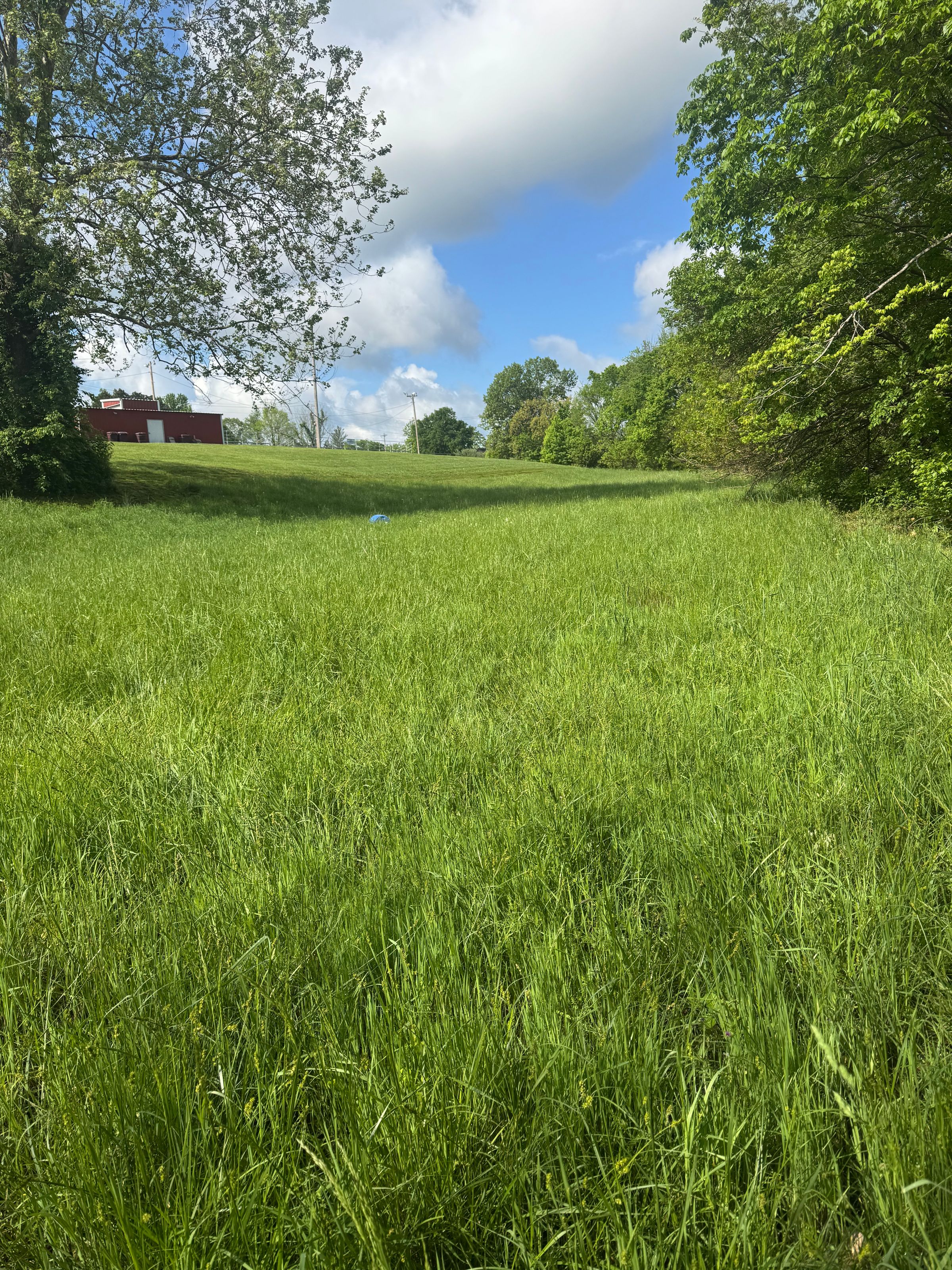 When we first got the contract😞