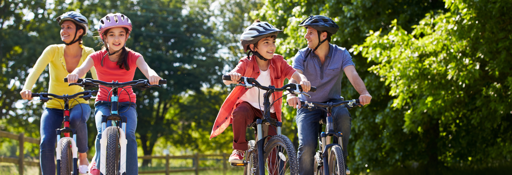 Climate Action and Sustainability Planning's image