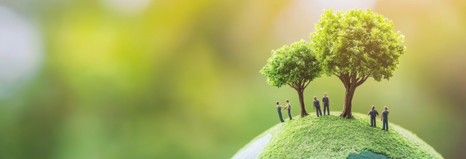 Climate Action and Sustainability Planning's image