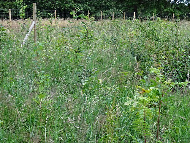 Climate Action and Sustainability Planning's image