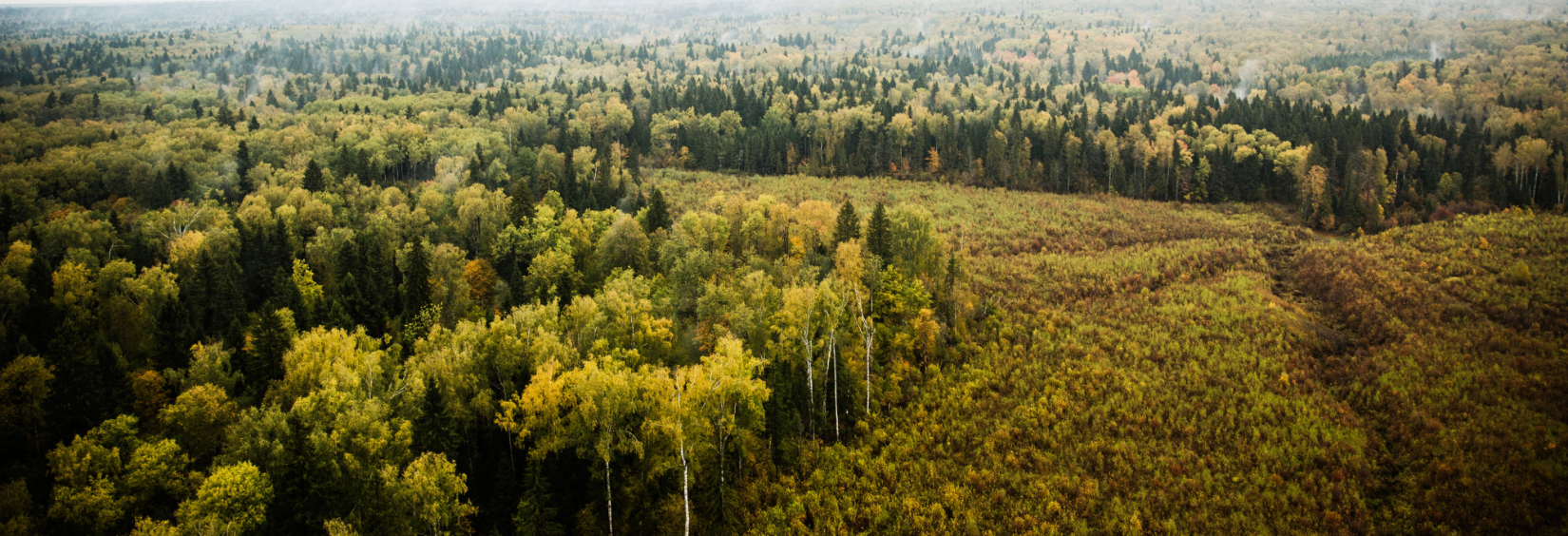 Climate Action and Sustainability Planning's image