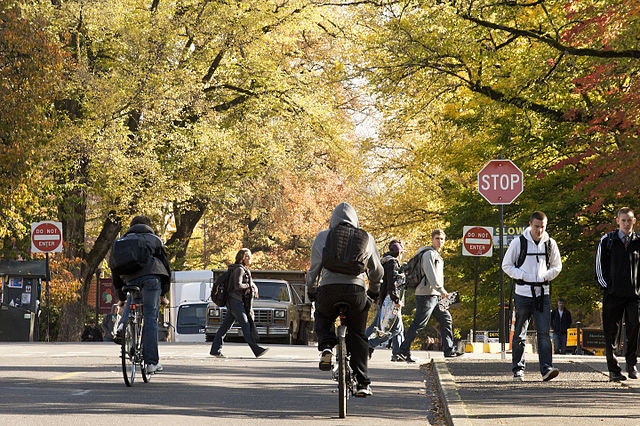 Climate Action and Sustainability Planning's image