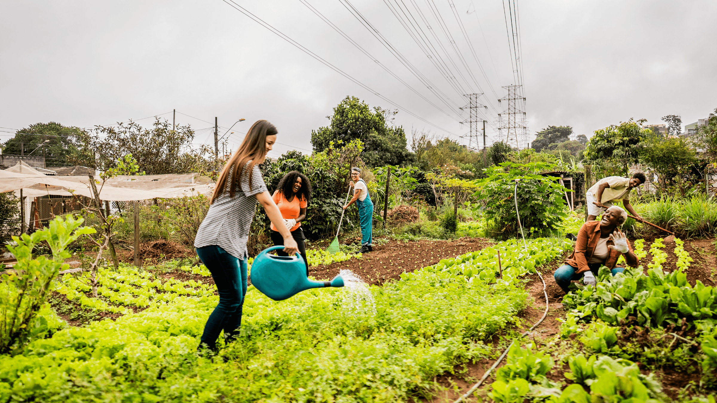 Climate Action and Sustainability Planning's image