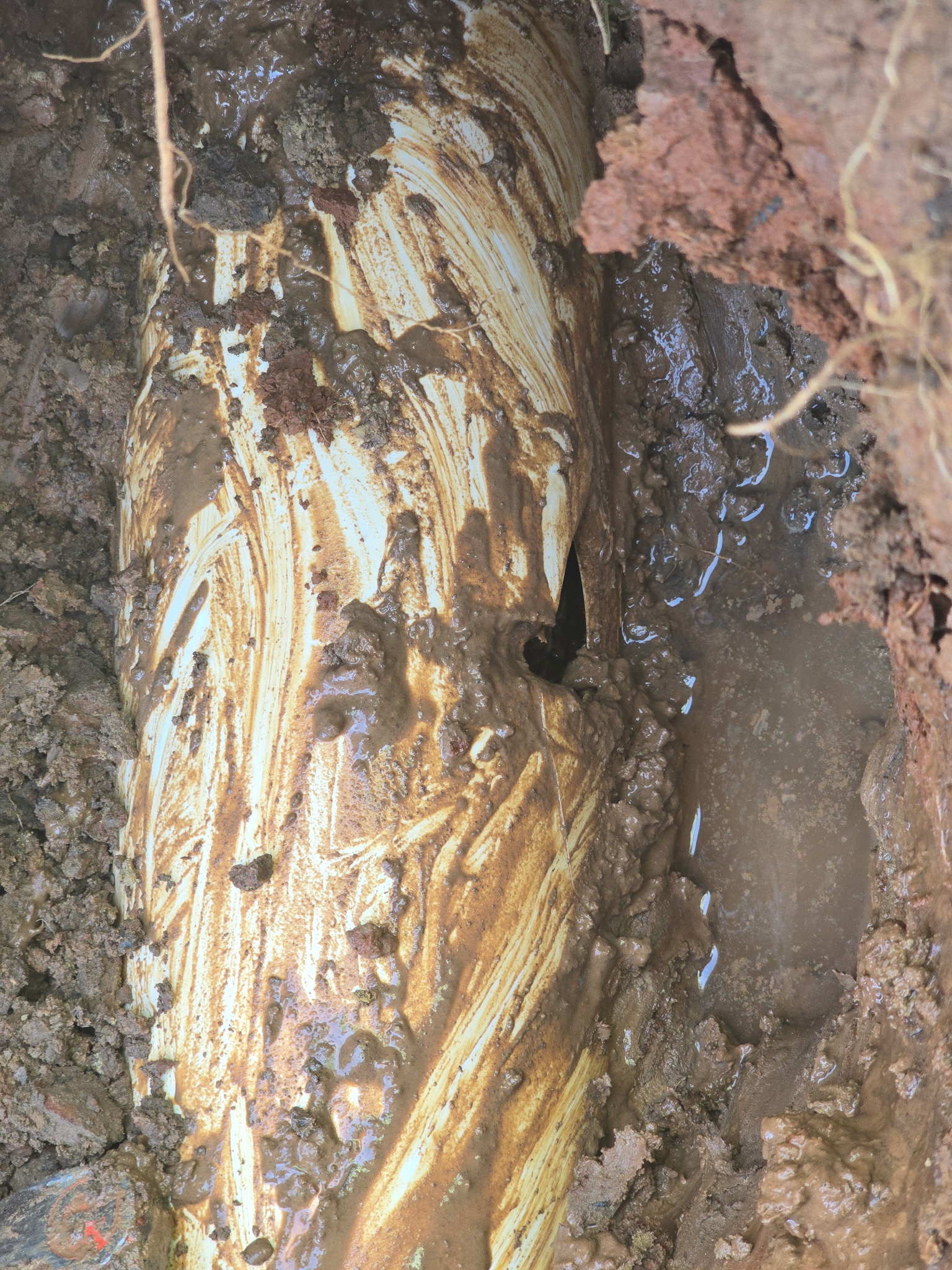 Broken water line allowing water to seep into the property. Left untreated, this can cause structural damage and ongoing moisture issues.