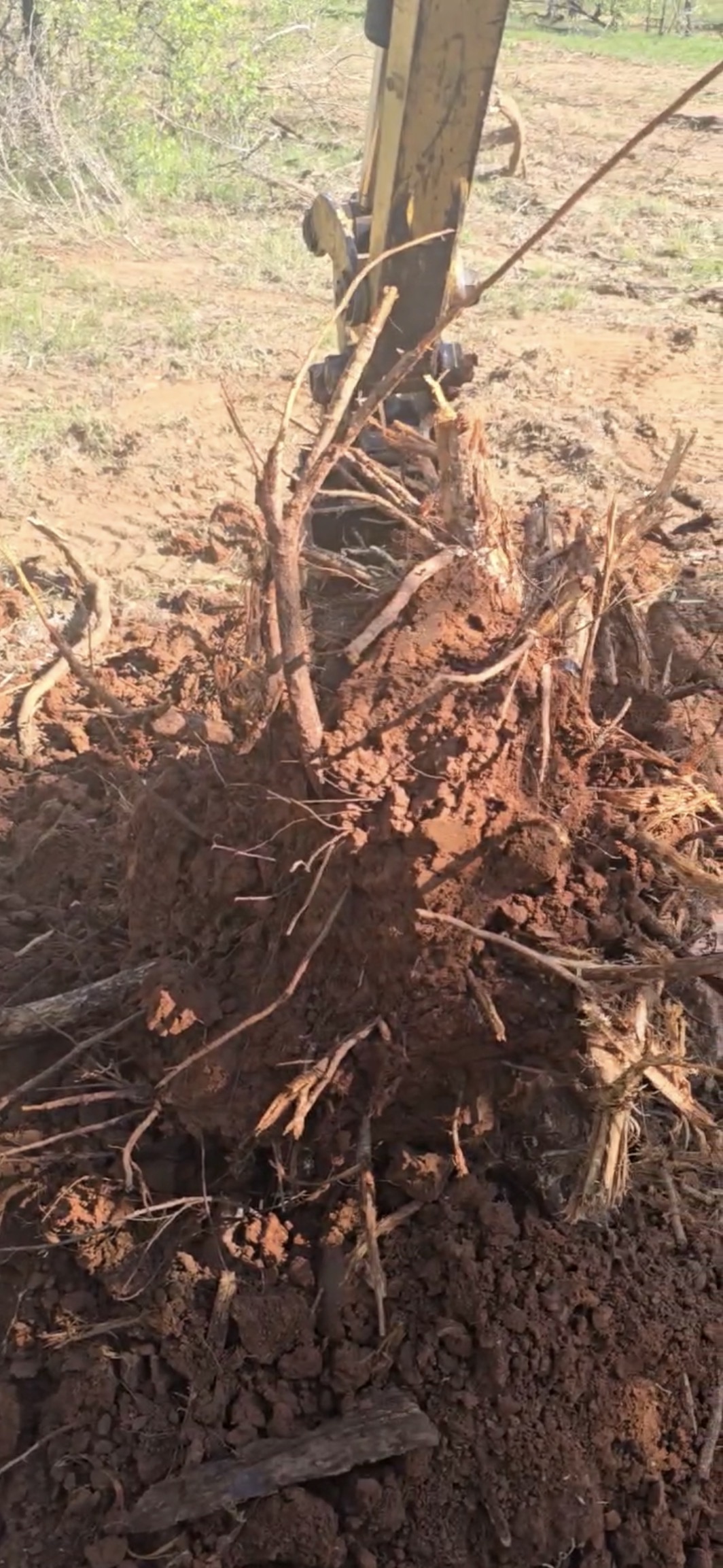 Full stump removal including root system