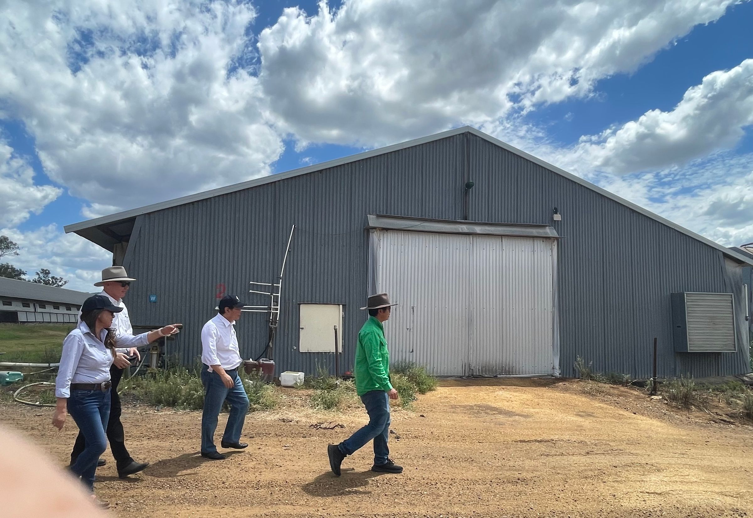 S&N Web Development's image