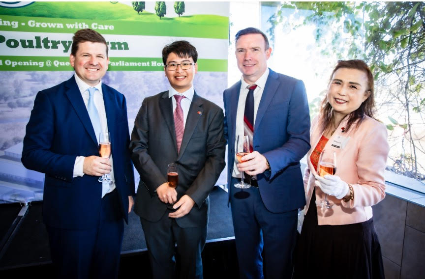 S&N Web Development's image