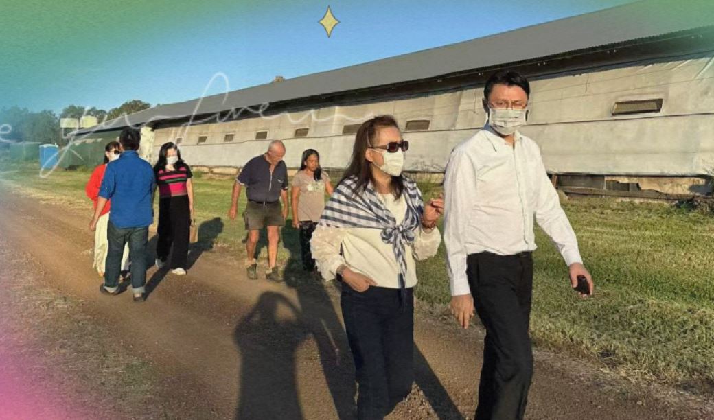 S&N Web Development's image