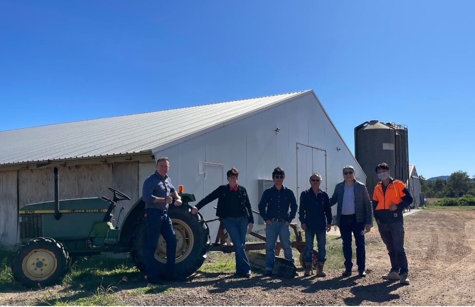 S&N Web Development's image