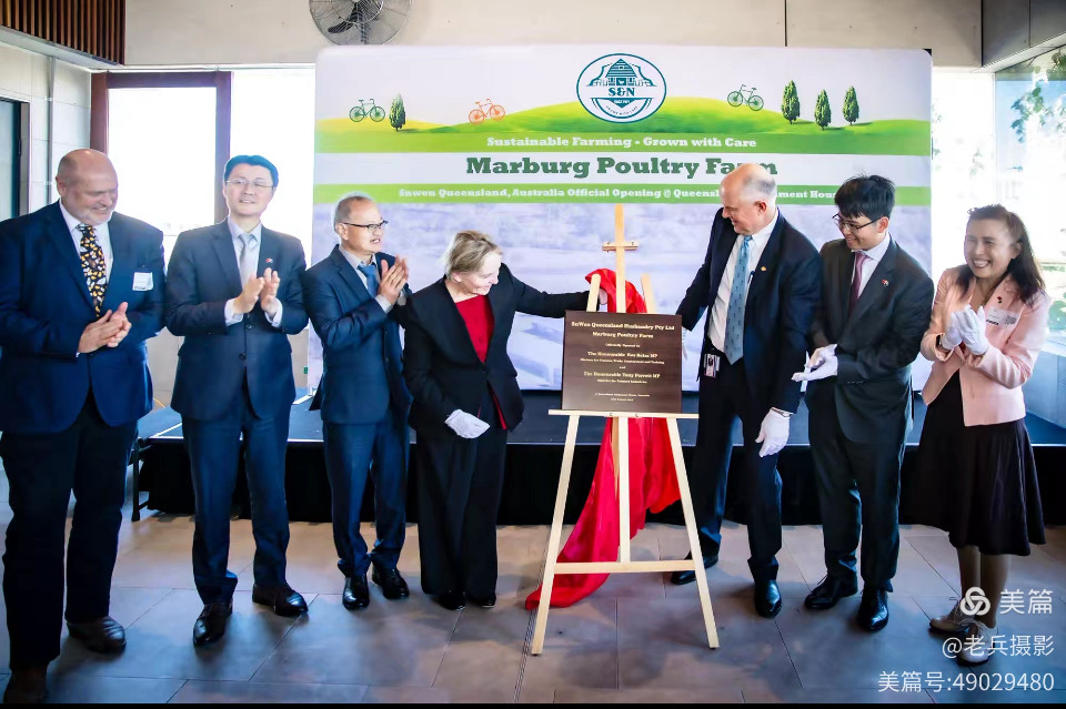 S&N Web Development's image